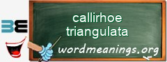 WordMeaning blackboard for callirhoe triangulata